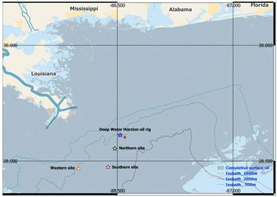 Investigating beaked whale’s regional habitat division and local density trends near the Deepwater Horizon oil spill site through acoustics